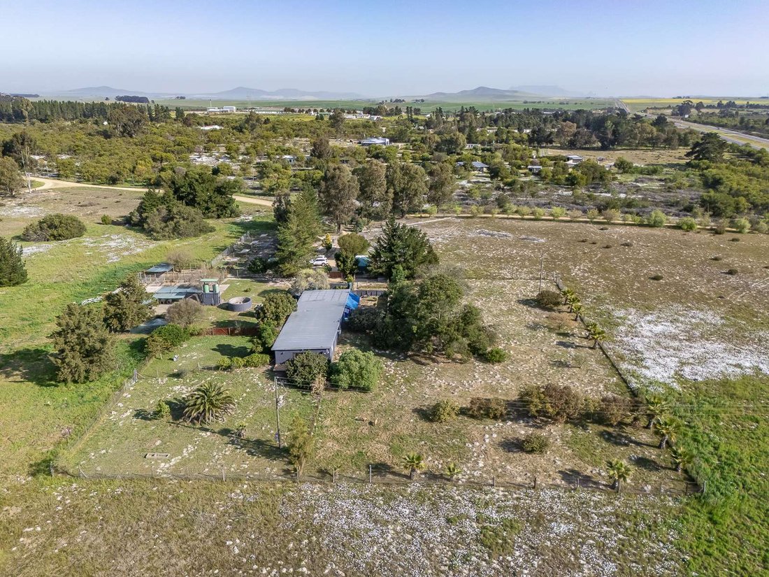 Farm Ranch in Johannesburg, Gauteng, South Africa 4 - 17249283