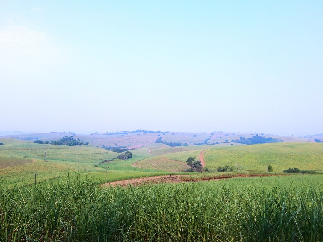 Farm Ranch in Dolphin Coast, KwaZulu-Natal, South Africa 2 - 17253156