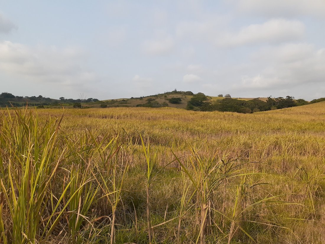 Land in Dolphin Coast, KwaZulu-Natal, South Africa 5 - 17253161