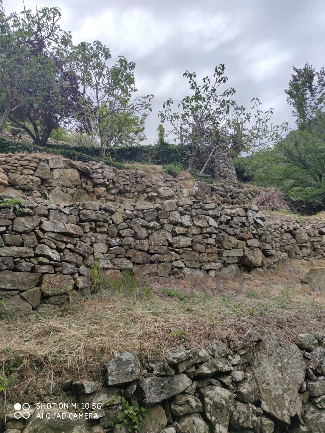 Villa in Dolceacqua, Liguria, Italy 4 - 17255309