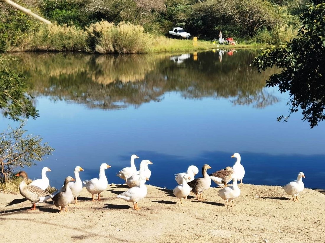 Farm Ranch in Mbombela, Mpumalanga, South Africa 1 - 17251293