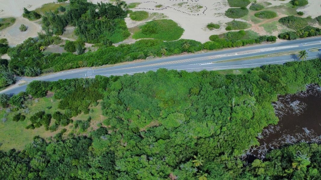 Land in Isabela, Isabela, Puerto Rico 5 - 17249203