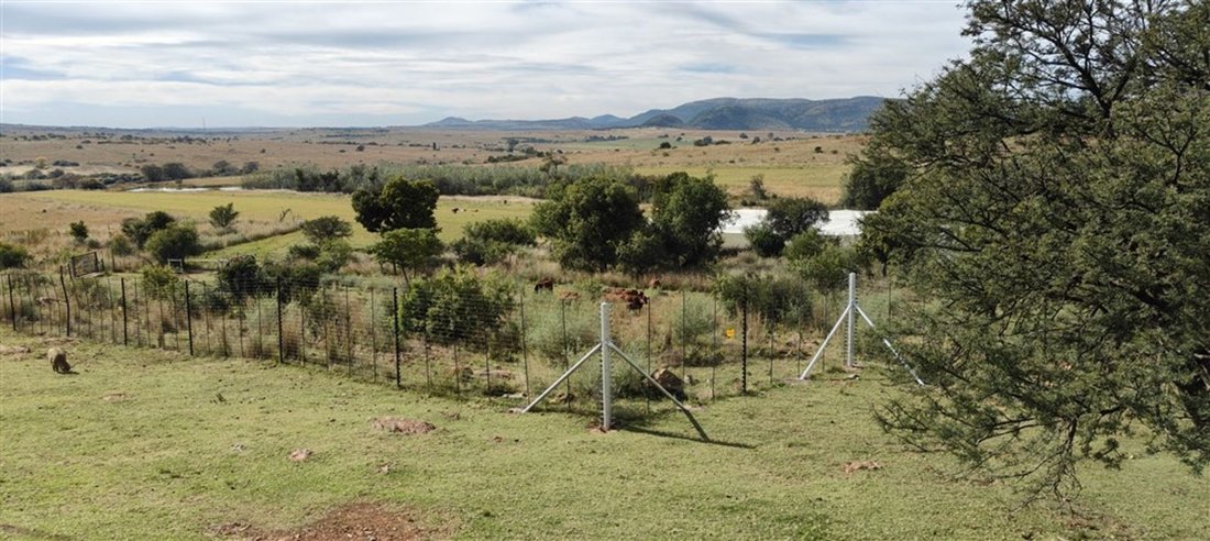 Rancho en Municipio local de Tlokwe, Noroeste, Sudáfrica 2 - 17251506