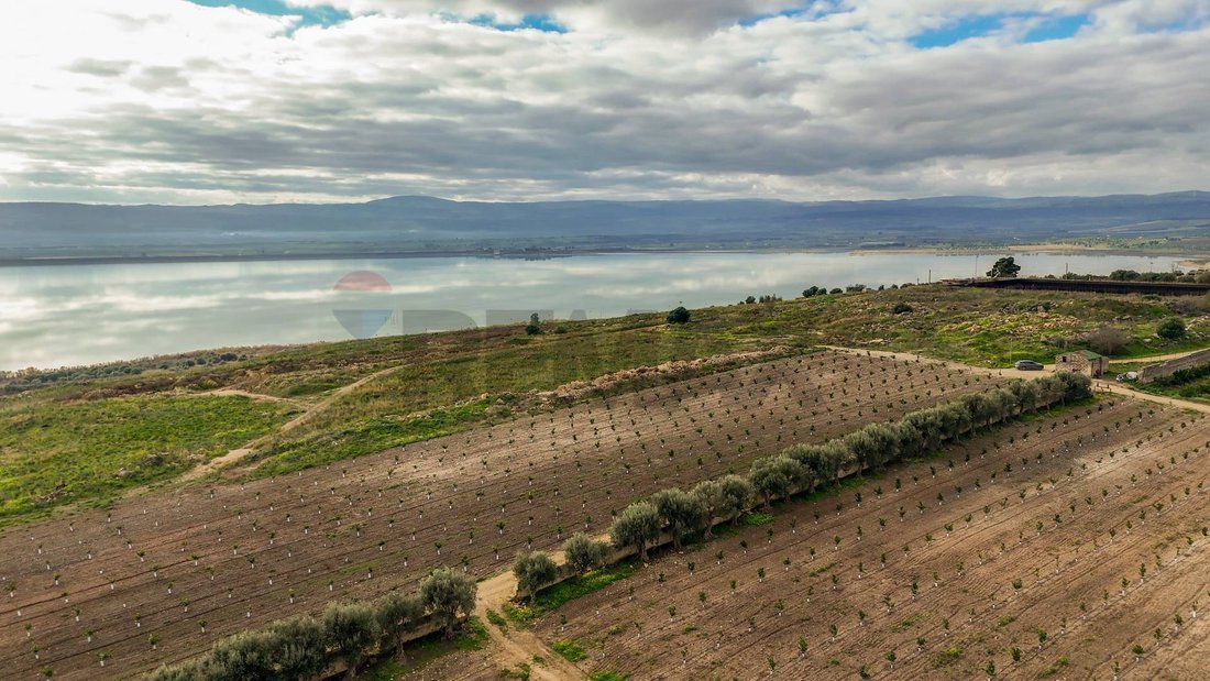 Land in Lentini, Sicily, Italy 2 - 17256415