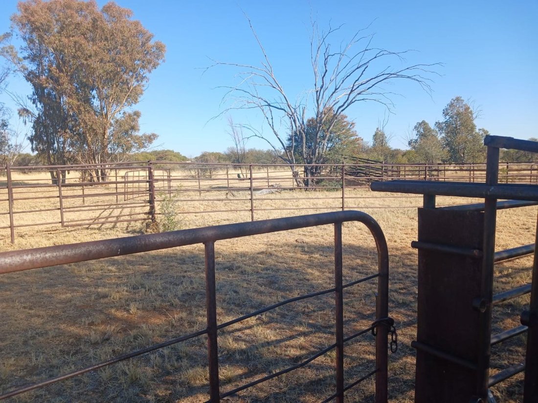 Farm Ranch in Braamfontein, Gauteng, South Africa 5 - 17252395
