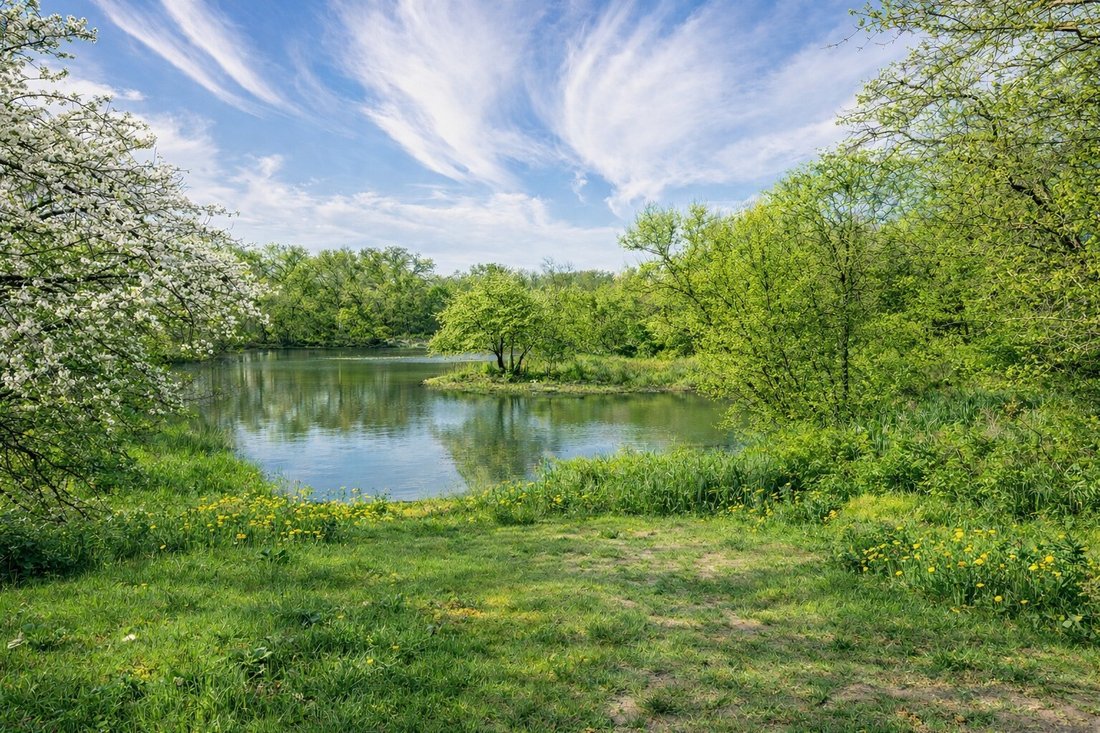 Land in Arlington, Texas, United States 1 - 17255989