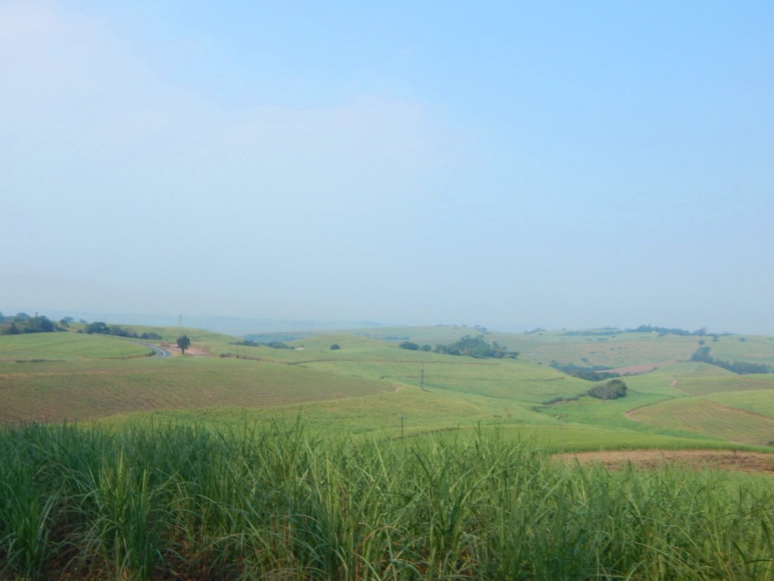 Farm Ranch in Dolphin Coast, KwaZulu-Natal, South Africa 5 - 17253156