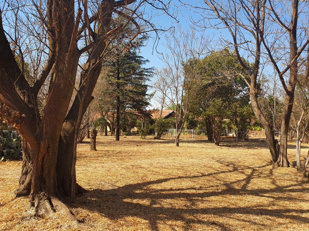 House in Johannesburg, Gauteng, South Africa 1 - 17253168