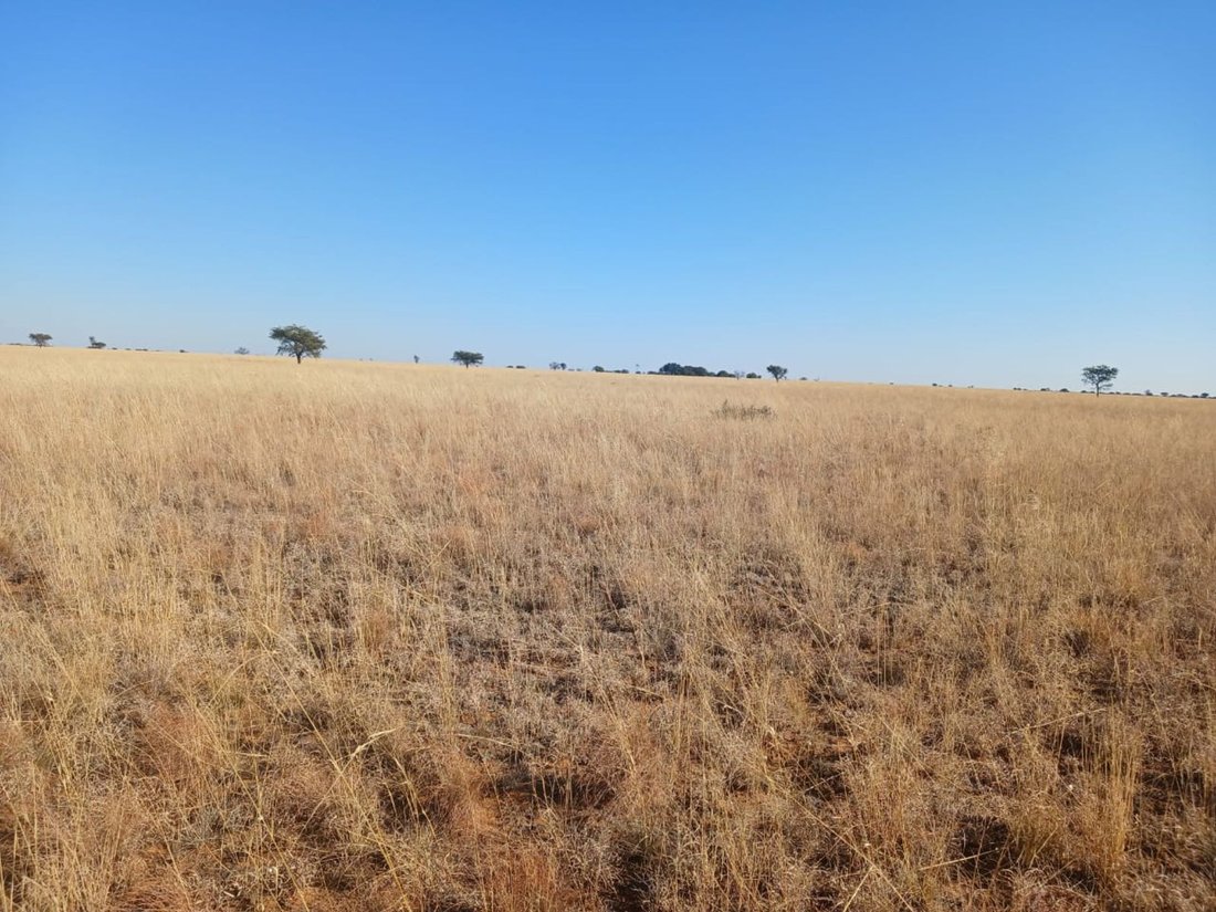 Farm Ranch in Braamfontein, Gauteng, South Africa 2 - 17252309