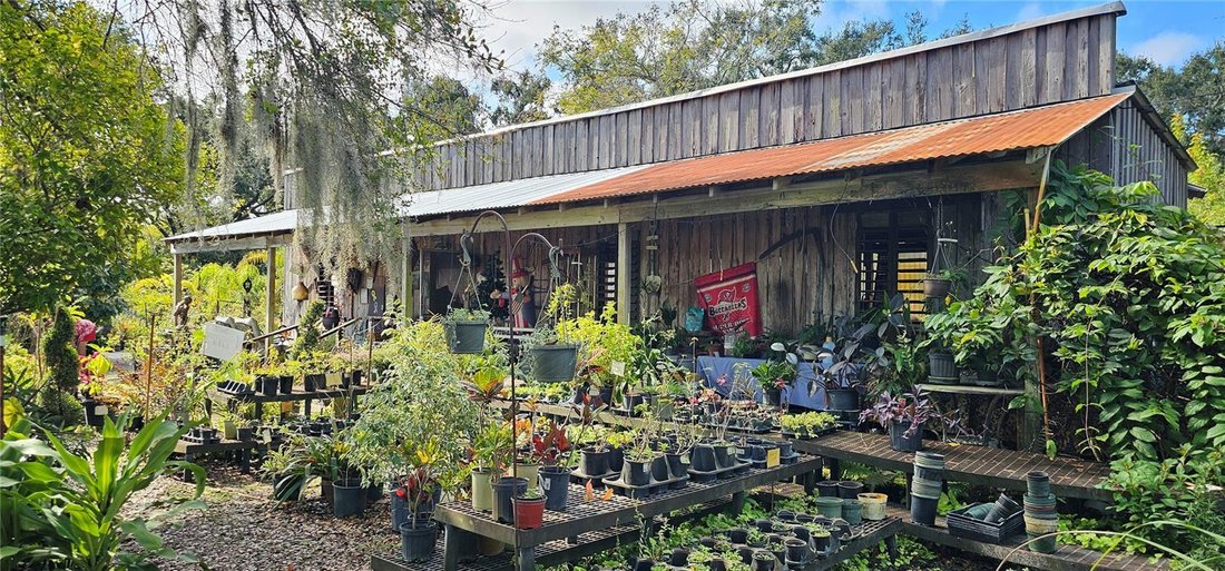 House in Odessa, Florida, United States 5 - 17248980