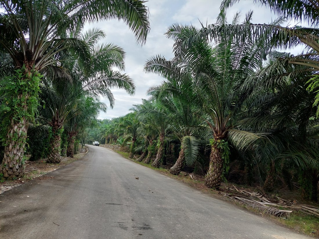 Raub District, Pahang, Malaysia 4 - 17251375