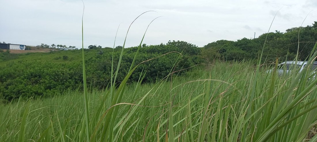 Land in Johannesburg, Gauteng, South Africa 2 - 17248646