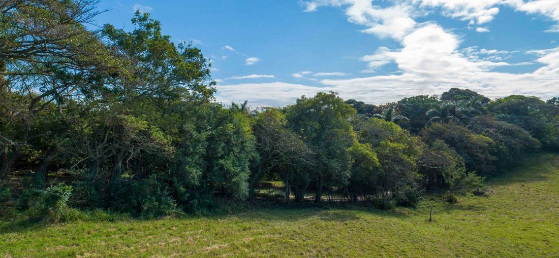 Land in Dolphin Coast, KwaZulu-Natal, South Africa 5 - 17250039