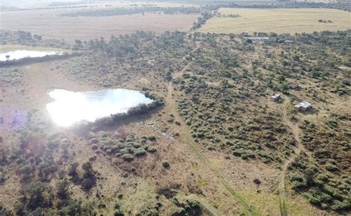 Azienda agricola a Ventersdorp, Provincia del Nordovest, Sudafrica 1