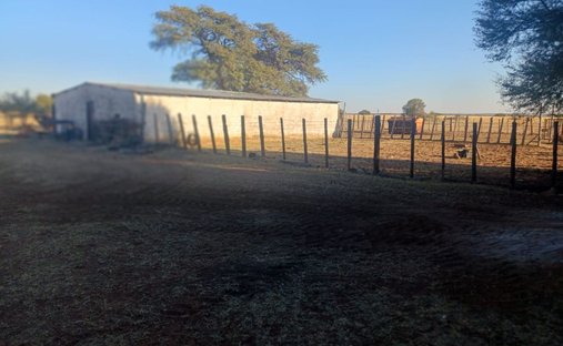 Farm Ranch in Johannesburg, Gauteng, South Africa 1
