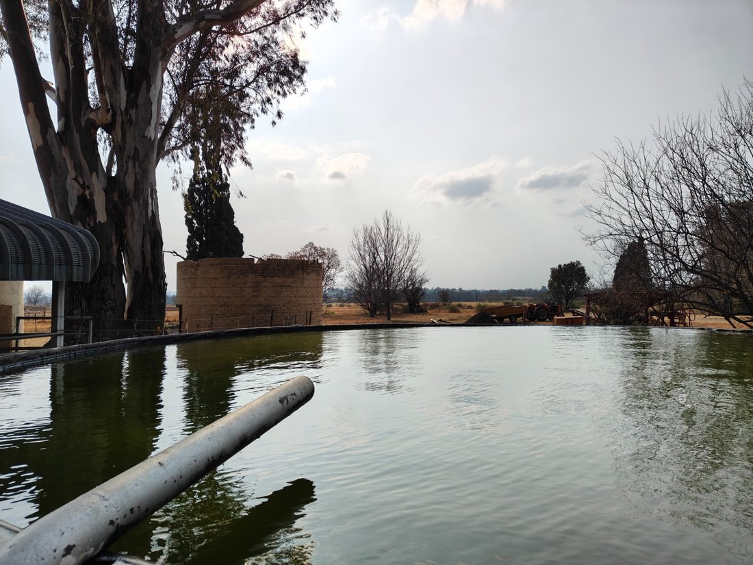 Farm Ranch in Johannesburg, Gauteng, South Africa 2 - 17252810