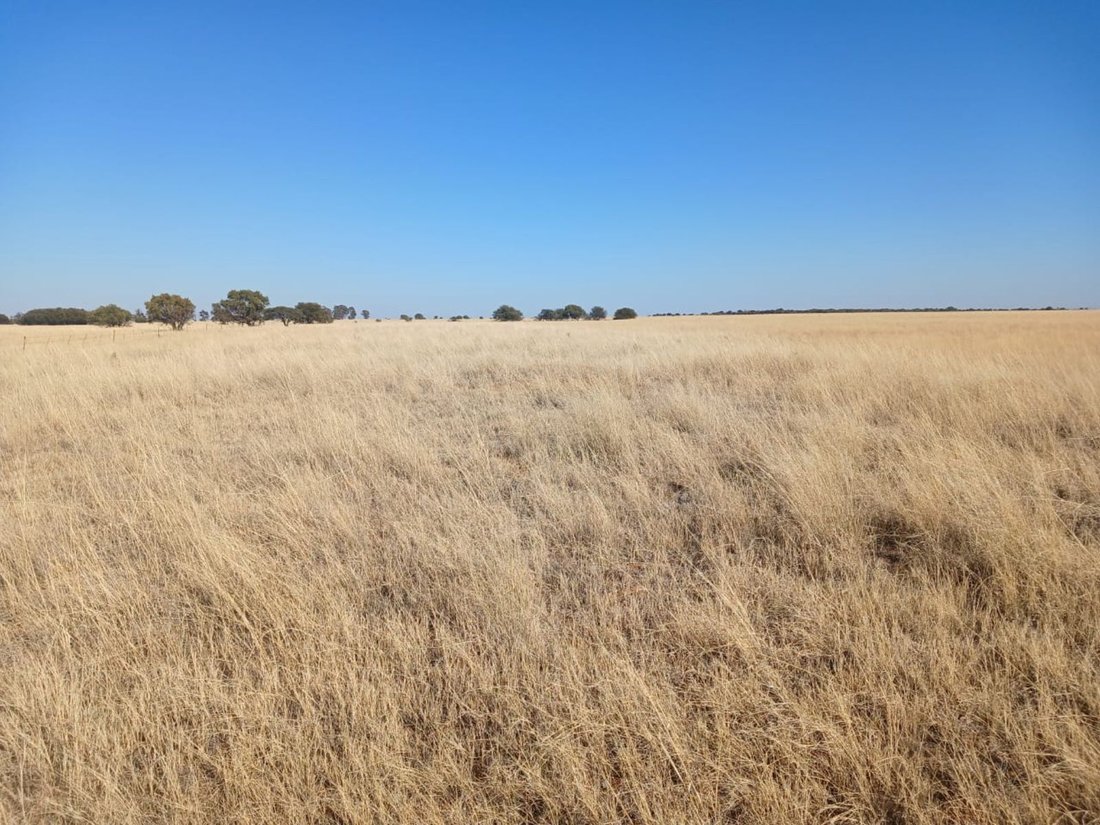 Farm Ranch in Braamfontein, Gauteng, South Africa 4 - 17252309