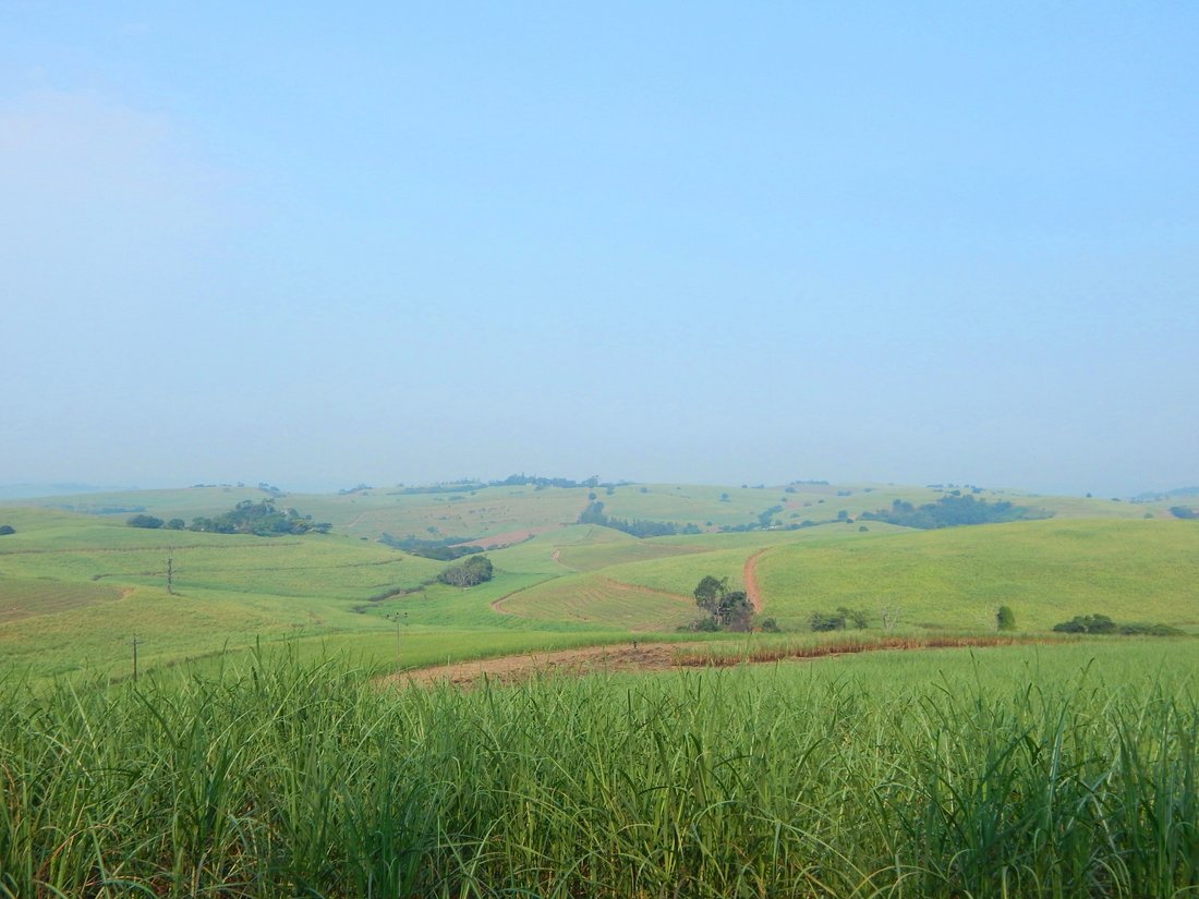 Farm Ranch in Dolphin Coast, KwaZulu-Natal, South Africa 1 - 17253156