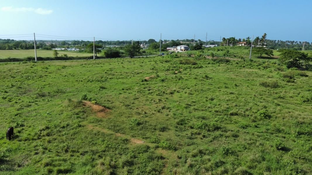 Land in Bejucos, Isabela, Puerto Rico 5 - 17249261