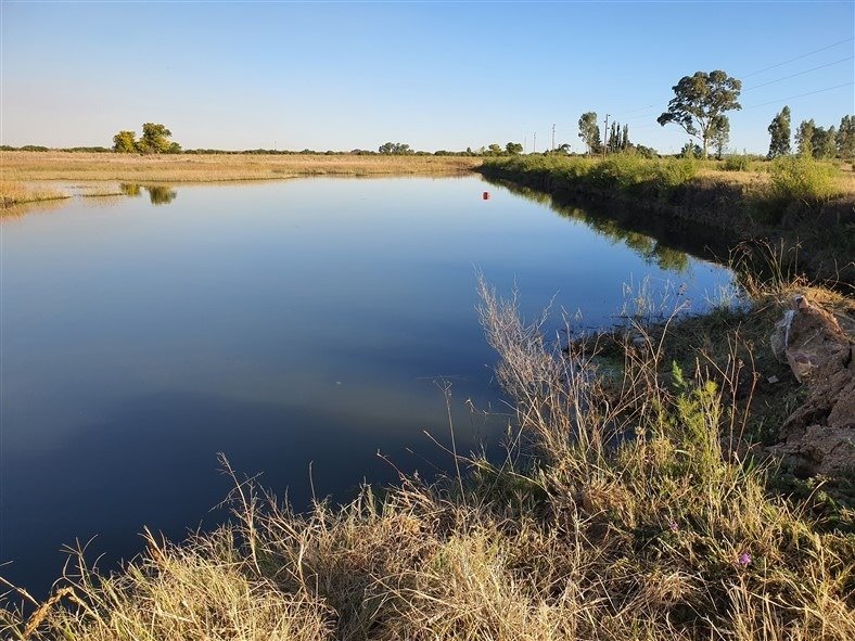 Farm Ranch in Johannesburg, Gauteng, South Africa 2 - 17252680