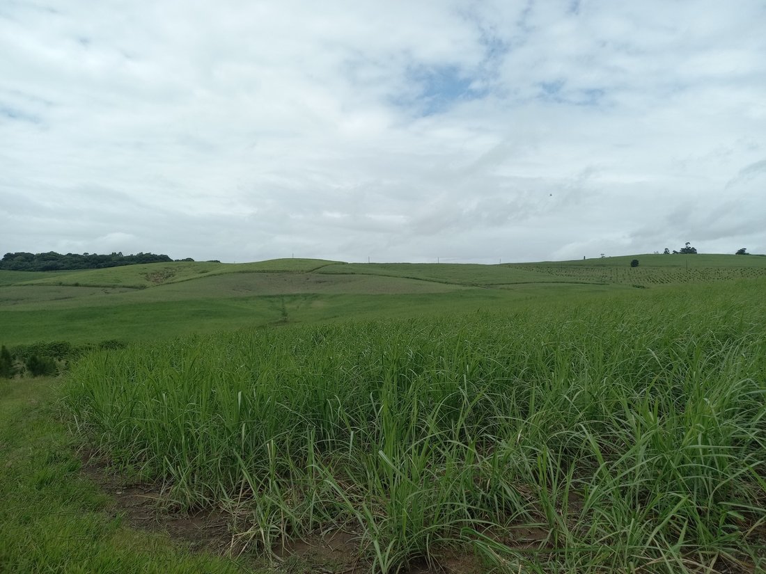 Farm Ranch in Dolphin Coast, KwaZulu-Natal, South Africa 3 - 17252905