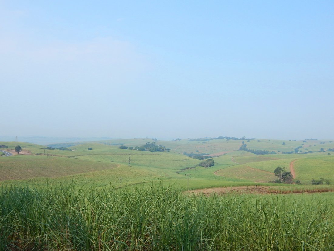 Farm Ranch in Dolphin Coast, KwaZulu-Natal, South Africa 3 - 17253156