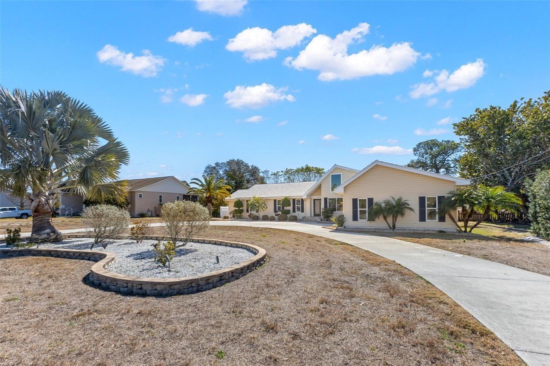 House in Holiday, Florida, United States 5 - 17248709