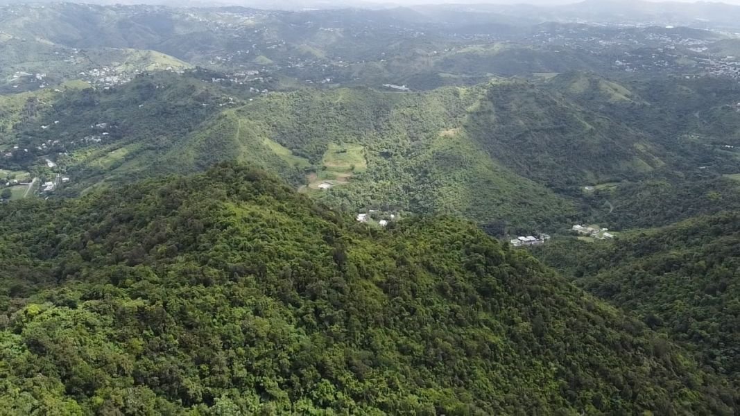 Land in Cayey, Cayey, Puerto Rico 2 - 17249335