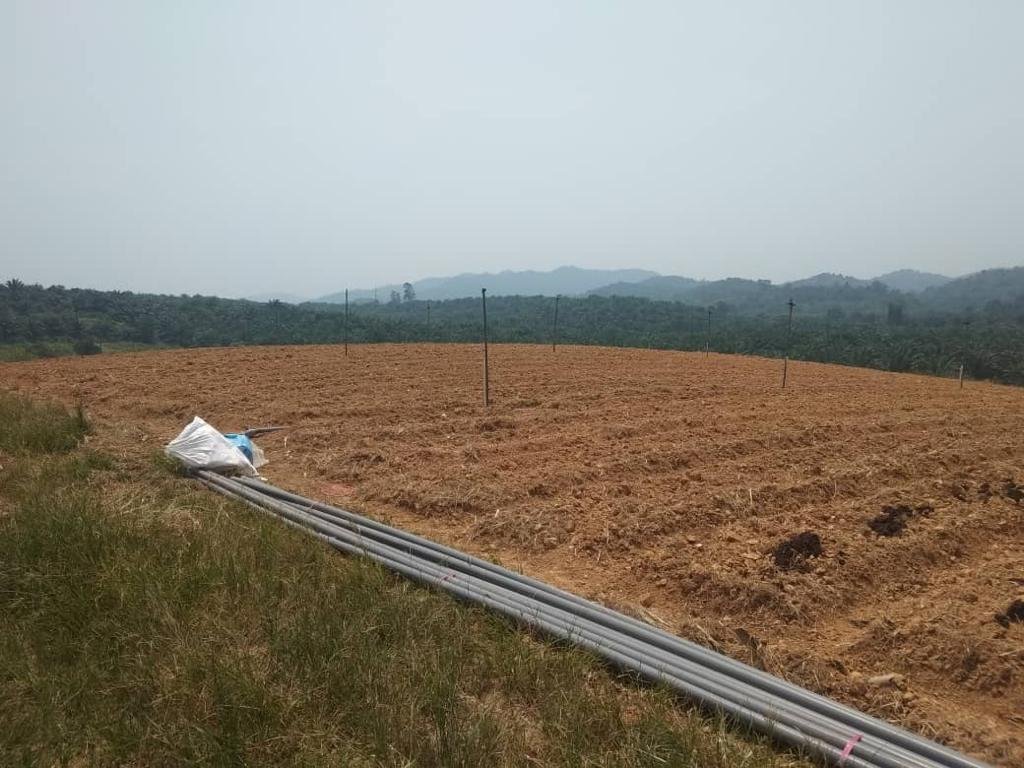 Rawang, Selangor, Malaysia 3 - 17251625