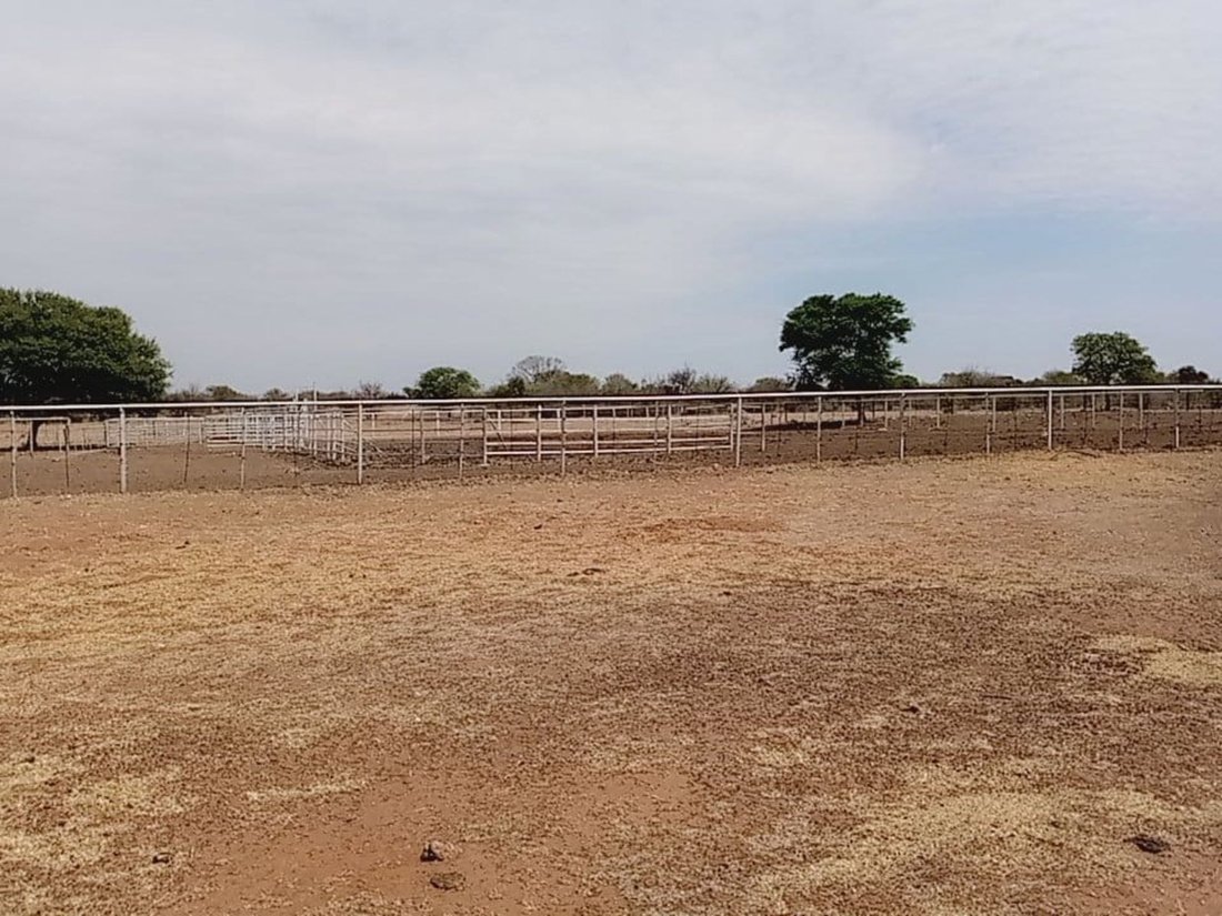 Farm Ranch in Braamfontein, Gauteng, South Africa 5 - 17252373
