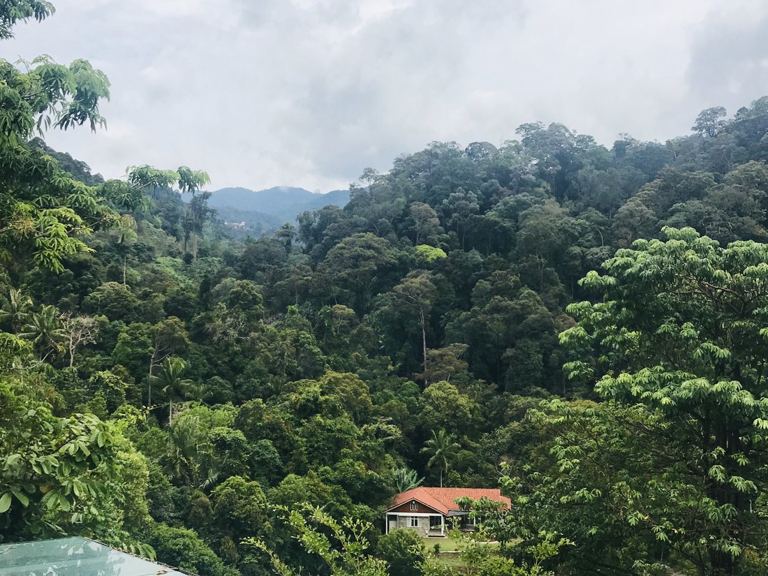Bentong, Pahang, Malaysia 4 - 17251763