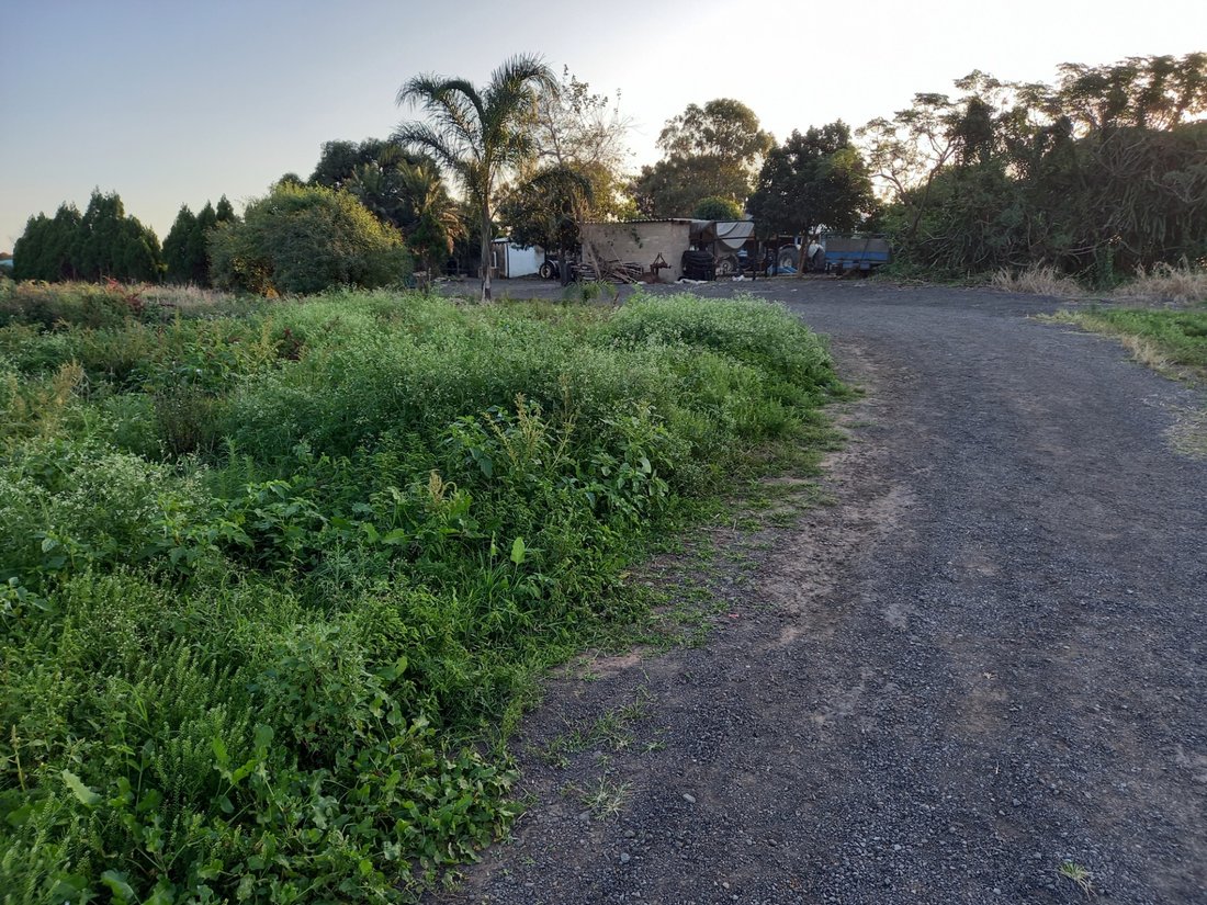 Farm Ranch in Shakaskraal, KwaZulu-Natal, Südafrika 4 - 17250309