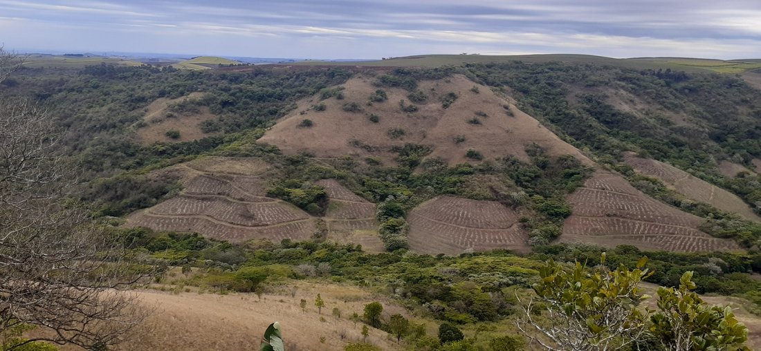 Farm Ranch in Dolphin Coast, KwaZulu-Natal, South Africa 2 - 17252961