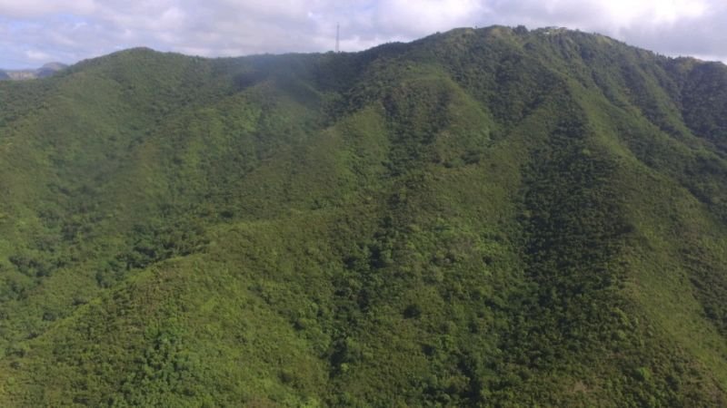 Land in Salinas, Salinas, Puerto Rico 2 - 17249242