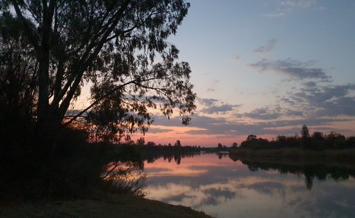 Farm Ranch in Viljoenskroon, Free State, South Africa 1