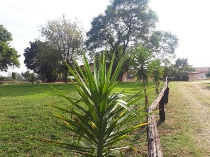 House in Braamfontein, Gauteng, South Africa 2 - 17248841