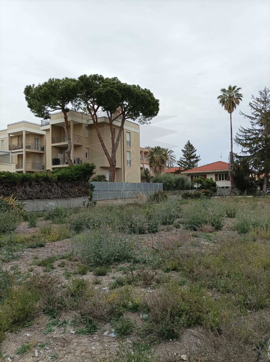 Land in Bordighera, Liguria, Italy 3 - 17254123