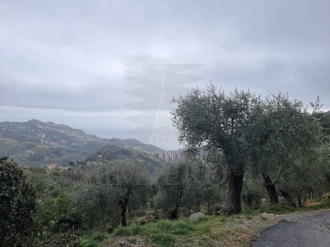 House in Torri-Calvo-Villatella, Ventimiglia, Liguria 4 - 17255803