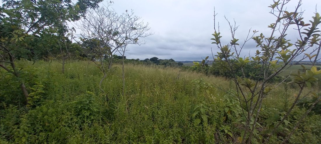 Land in Johannesburg, Gauteng, South Africa 4 - 17248646