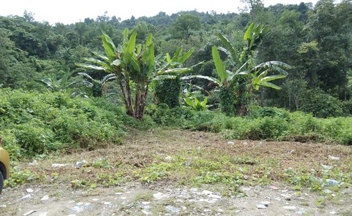 Ulu Gombak Forest Reserve, Selangor, Malaysia 1