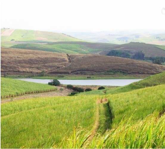 Land in Dolphin Coast, KwaZulu-Natal, South Africa 4 - 17253164