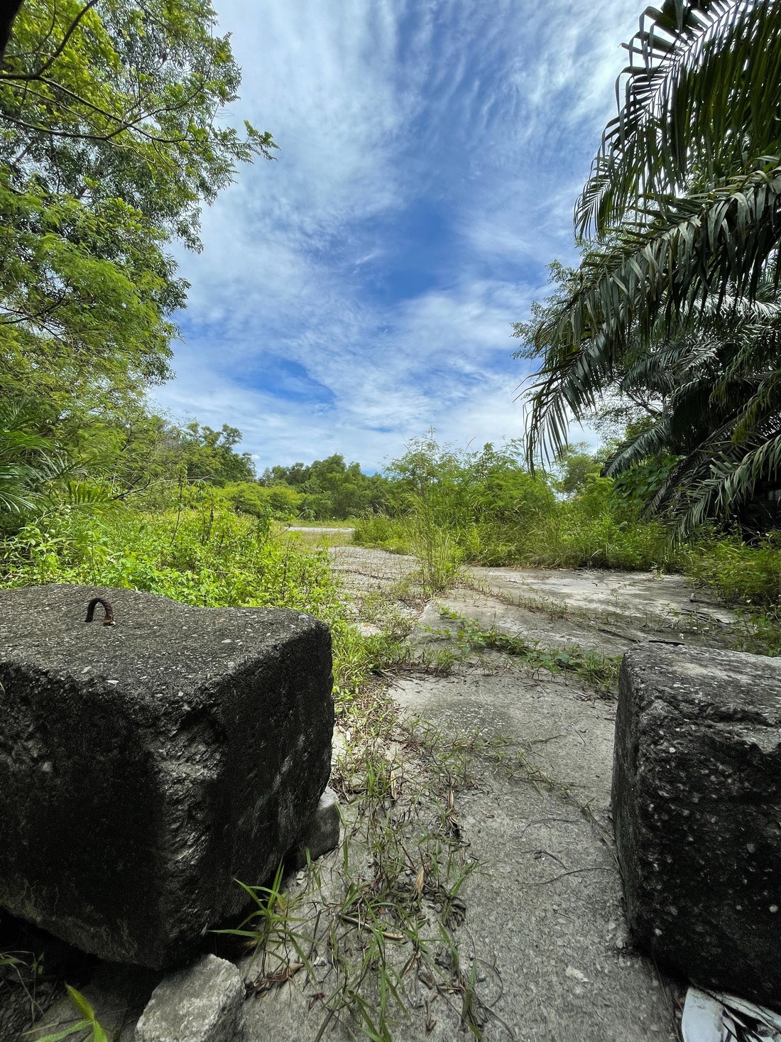 Land in Subang Jaya, Malaysia 4 - 17251535