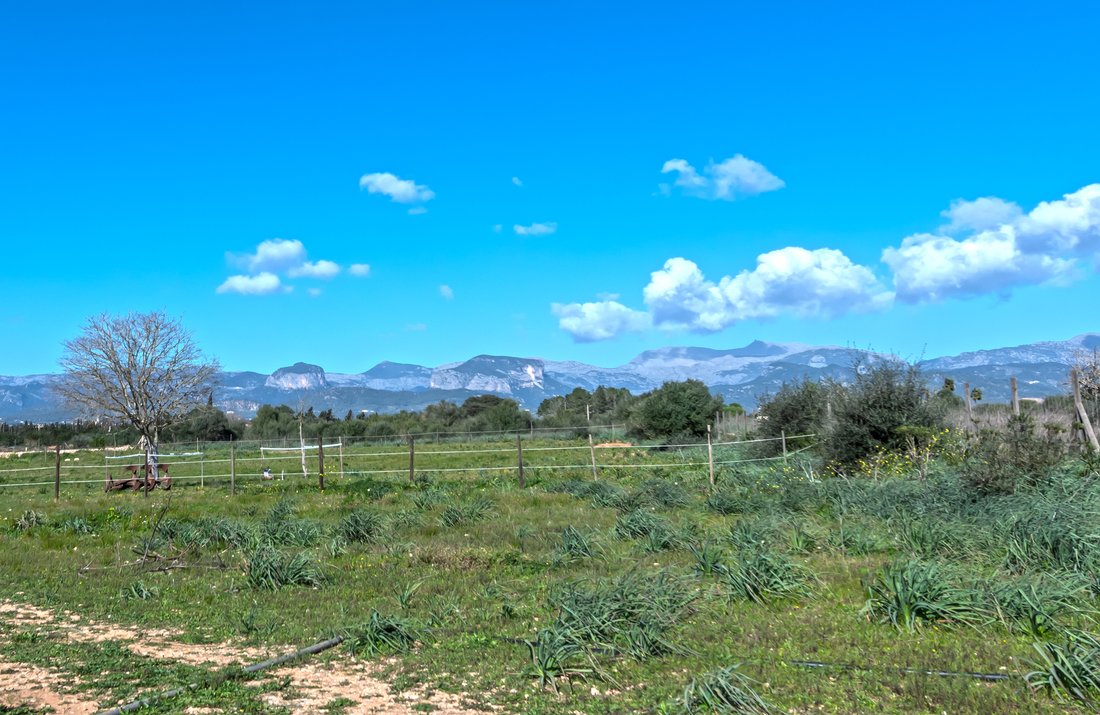 Land in Sencelles, Balearic Islands, Spain 1 - 17247903