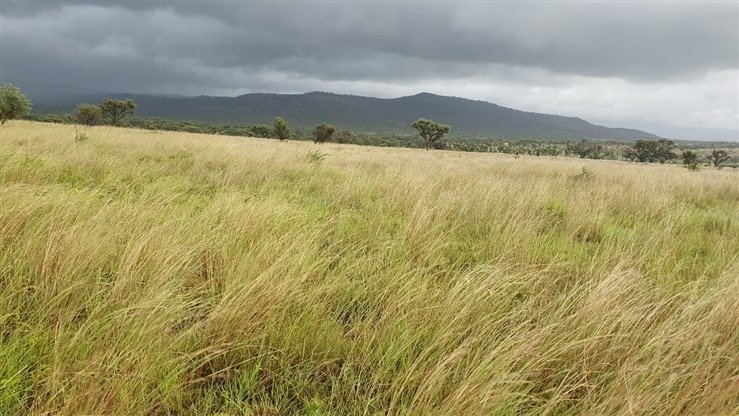 Farm Ranch in Dundee, KwaZulu-Natal, South Africa 3 - 17253029