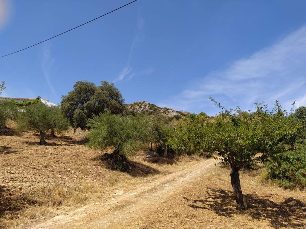 Land in Ardales, Andalusia, Spain 3 - 17256961
