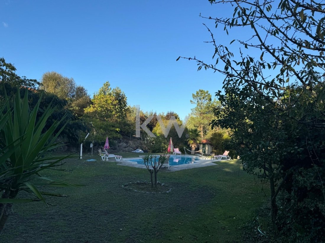 Farm Ranch in Ribafeita, Viseu District, Portugal 1 - 17250873