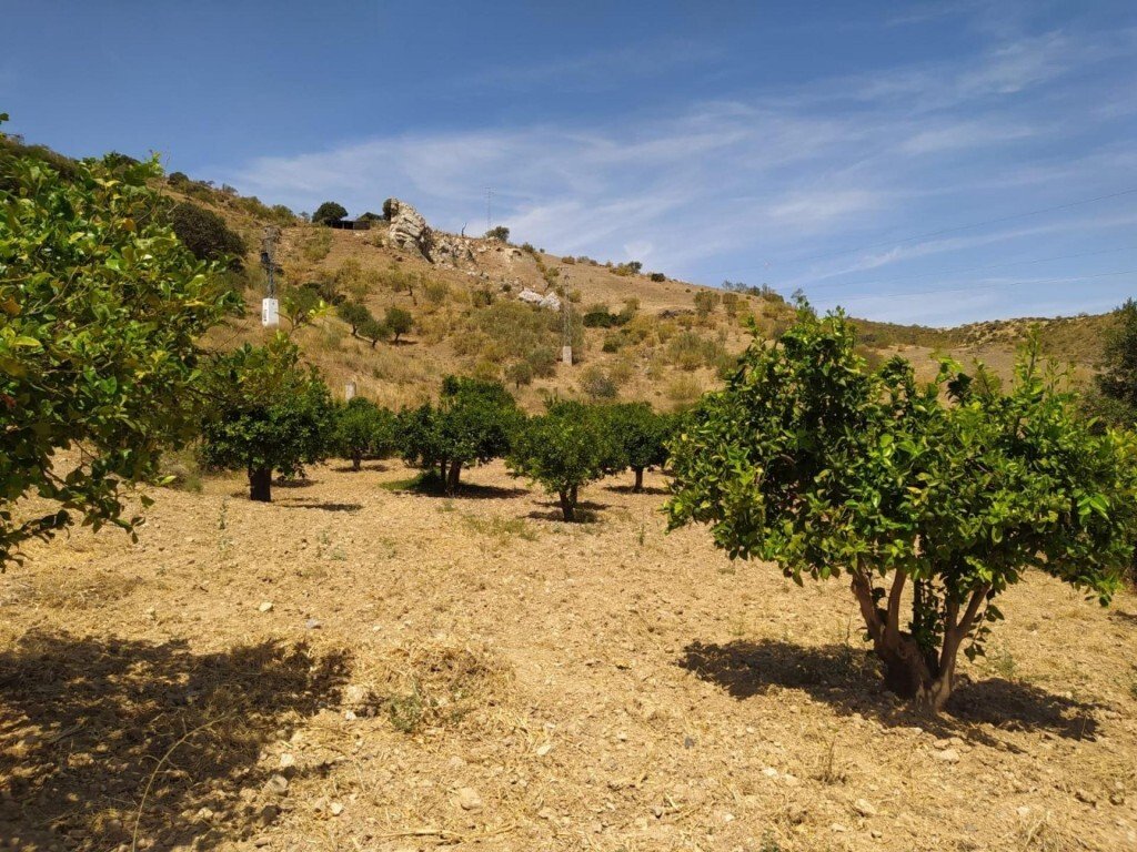 Land in Ardales, Andalusia, Spain 2 - 17256961