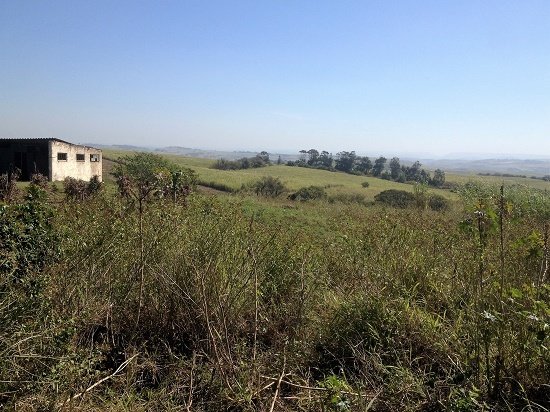 Land in Dolphin Coast, KwaZulu-Natal, South Africa 3 - 17253166
