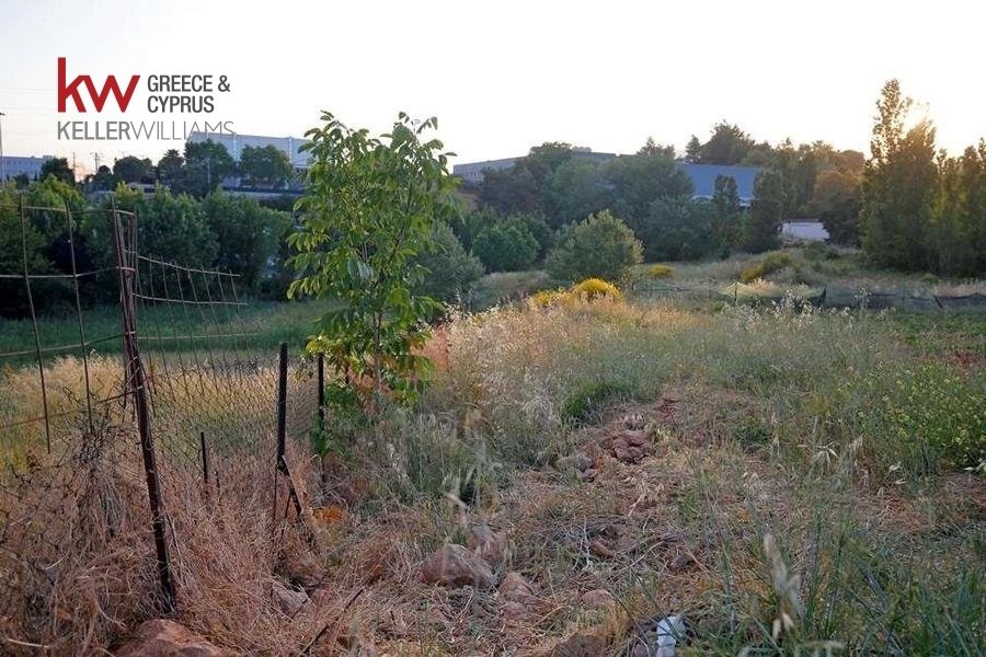 Land in Kryoneri Municipal Unit, Attica, Greece 5 - 17249936
