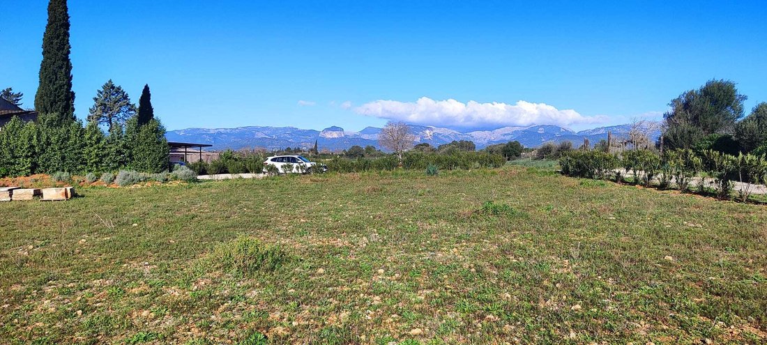 Land in Sencelles, Balearic Islands, Spain 2 - 17247903